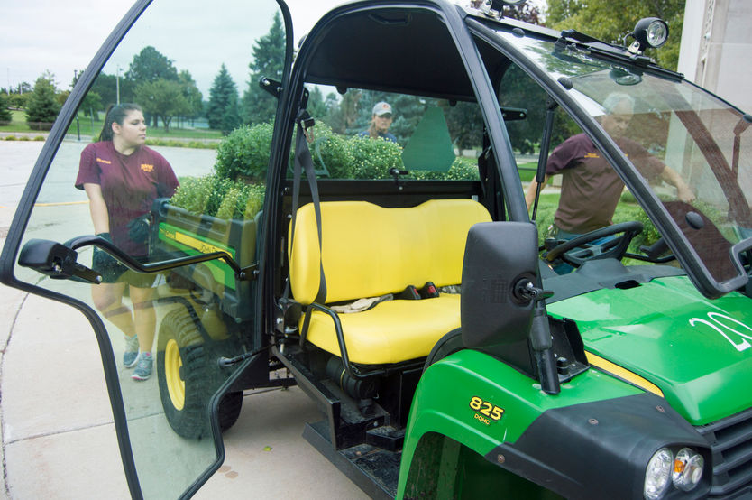 Planting Mums