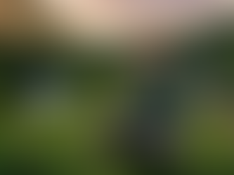 O rosto da regeneração: por que a conservação é feminina?