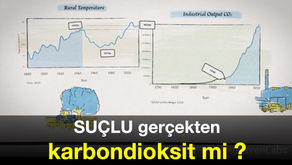 SUÇLU gerçekten KARBONDİOKSİT mi?