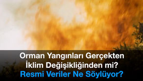 Orman Yangınları Gerçekten İklim Değişikliğinden mi? Resmi Veriler Ne Söylüyor?