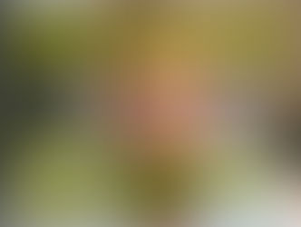 Sonbahar ve Kış Mevsiminde Ajılanmış İnsanlar çok ciddi yan etkiler gösterdiklerinde...