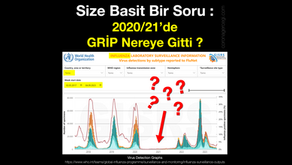 Size Basit Bir Soru: 2020/21’de GRİP Nereye Gitti ?