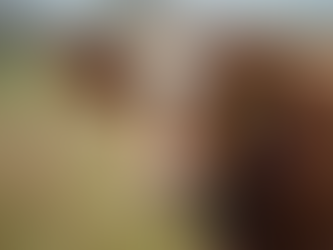 Monitoramento de Animais: Inovação para Pecuária