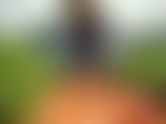 Alimentação Inteligente: Reduzindo Desperdícios na Agropecuária