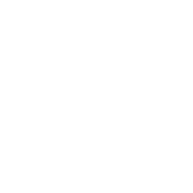 Endesa.png