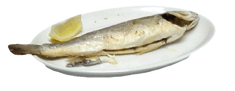 Branzino alla griglia