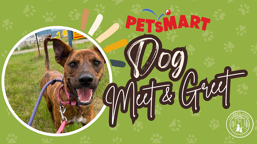 PetSmart Dog Meet & Greet