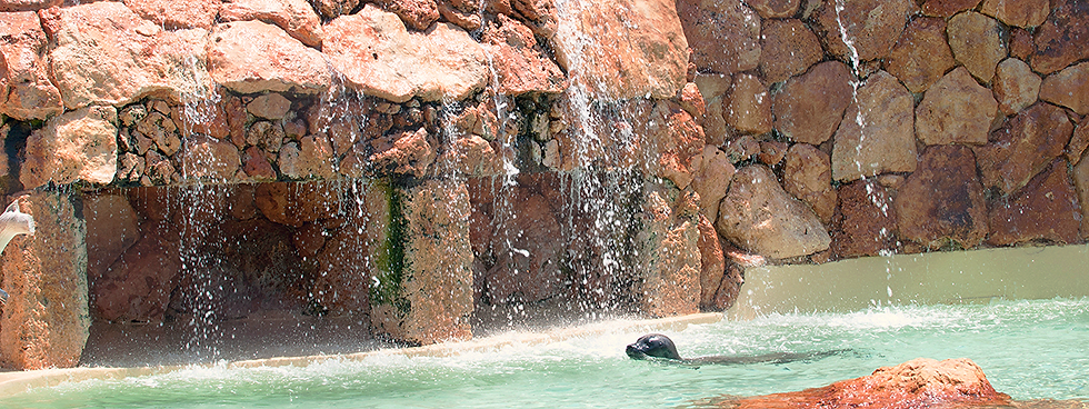 "MarineWorld", Spain