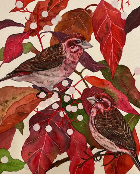 Sparrows in Red