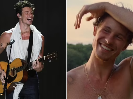 Shawn Mendes Appears To Address Gay Rumors In New Song