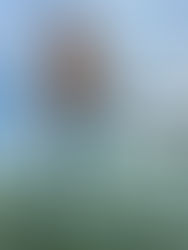 LOUROY: The Brand Redefining Fashion and Sustainability, One Stitch at a Time