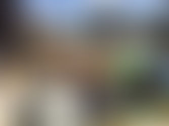 When Should You Hire Professional Rubbish Removal Services?