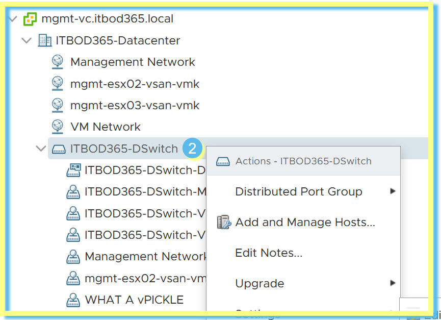 vDS Import Config