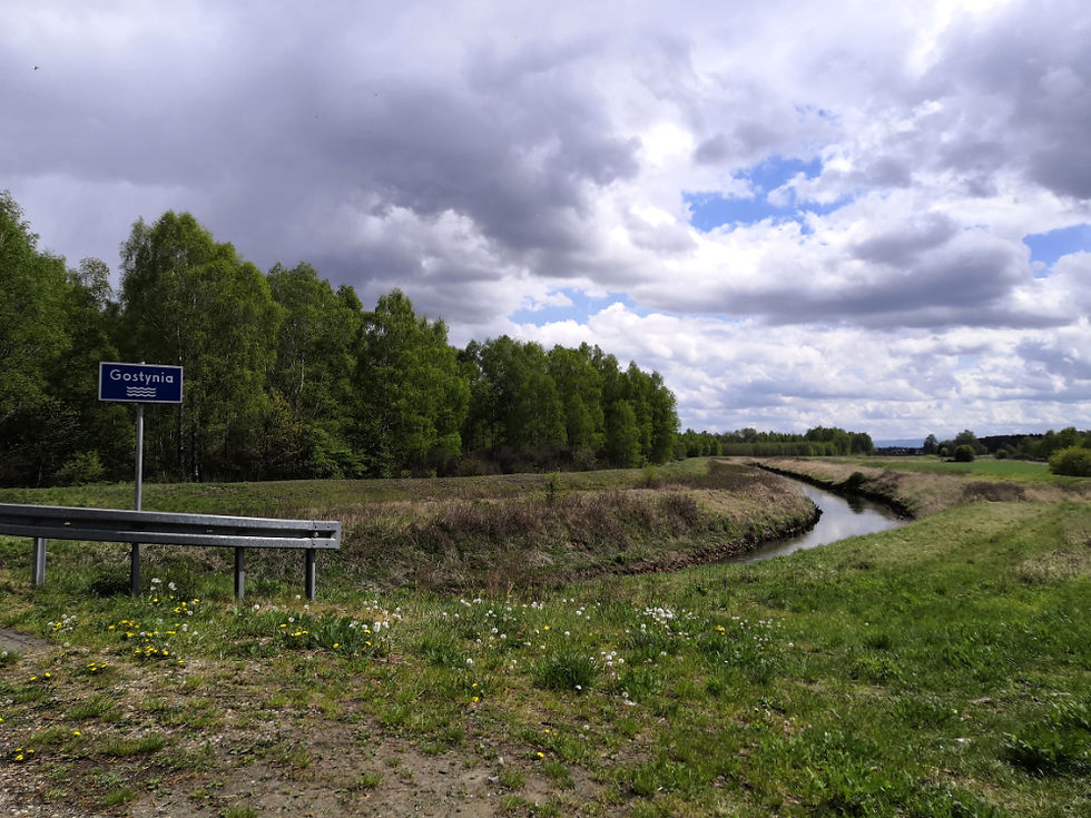 ekoturystyka na śląsku, żabi kraj, rzeka gostynia, zielony śląsk