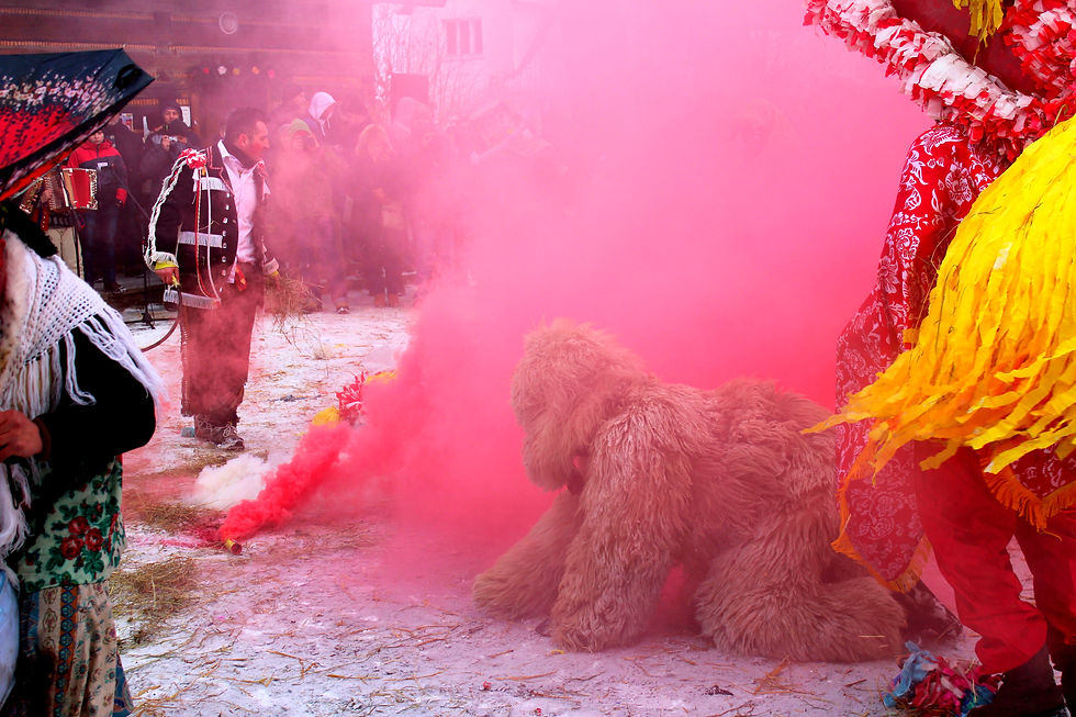 ludowy karnawał, symbolika, niedźwiedź w kulturze ludowej, symbol witalności i płodności