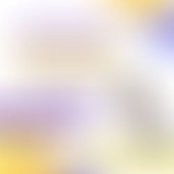 Instituto Principia - Escola de Talentos