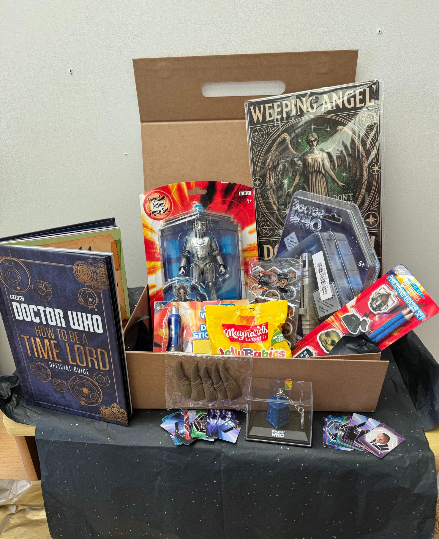 Doctor Who How to be a Time Lord Gift Box