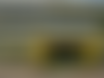 Nitte Gulabi Shetty Memorial Institute of Pharmaceutical Sciences campus