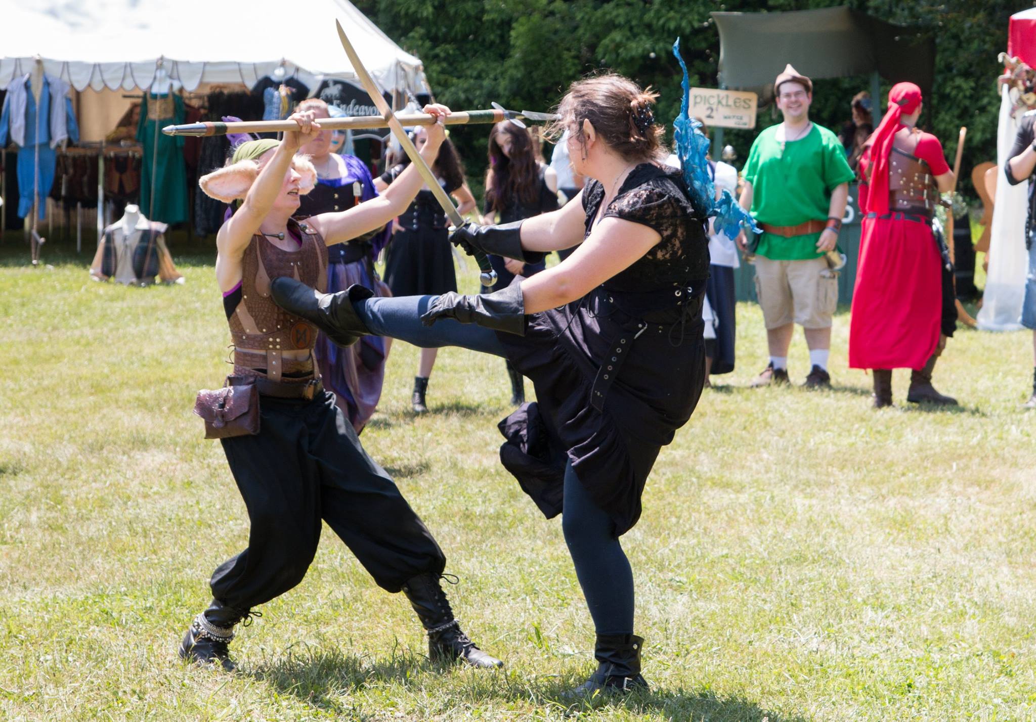 Pit fight