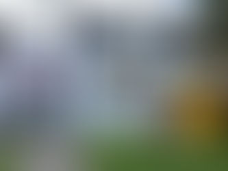 Con amor y nuevas experiencias.. II semestre 2023