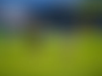 Report | Wealdstone 0-4 Boreham Wood 