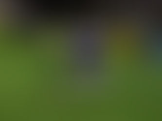 ACADEMY: Clay Breaking New Ground