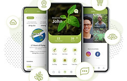 TreeApp-1024x855.jpg