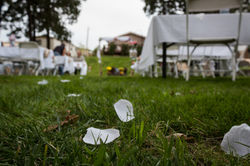Wedding-228