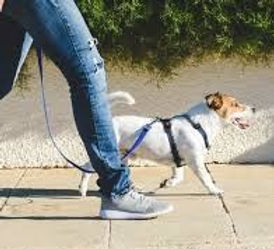 images (1)_edited.jpg