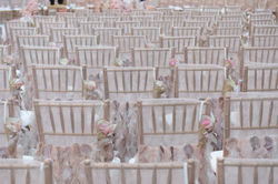 wedding chairs