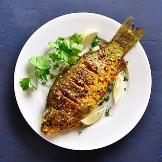 Scottys Grilled Fish