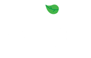 Bike to battle MS