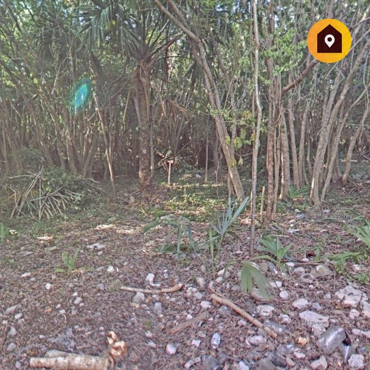 Miniatura: #VENTA terreno 70ha, turístico-habitacional, Puerto Morelos, QR