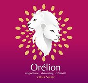 logo orélion dégradé carré 2 BD.png