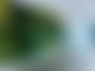 When Brand Energy Runs Low: What a Journey Can Teach Us About Why Every Customer Interaction Counts