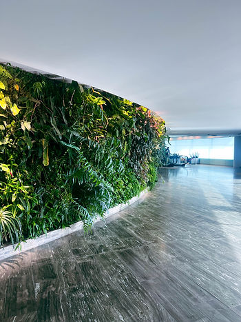 Lounge entry, Sydney Airport