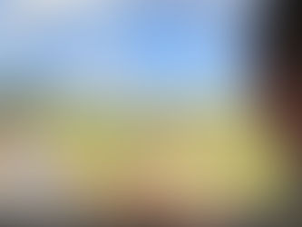 What Safari Can Teach Us About Rarity and Desire