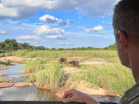 What Safari Can Teach Us About Rarity and Desire