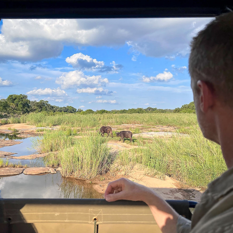 What Safari Can Teach Us About Rarity and Desire