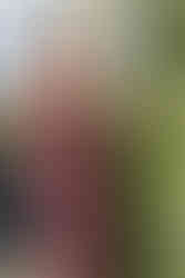 Fashion photography by London based photographer Laurence Taylor