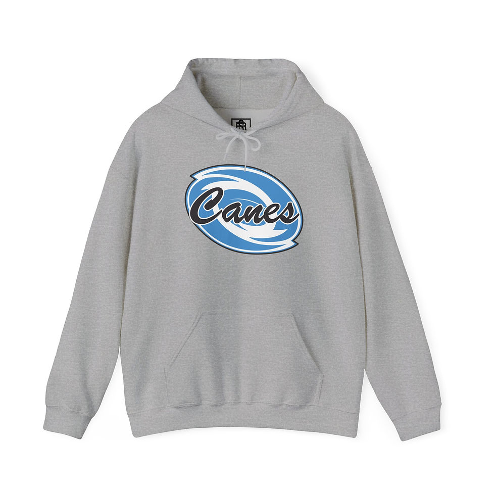 Thumbnail: Canes Storm Hoodie — "Here Comes the Storm"