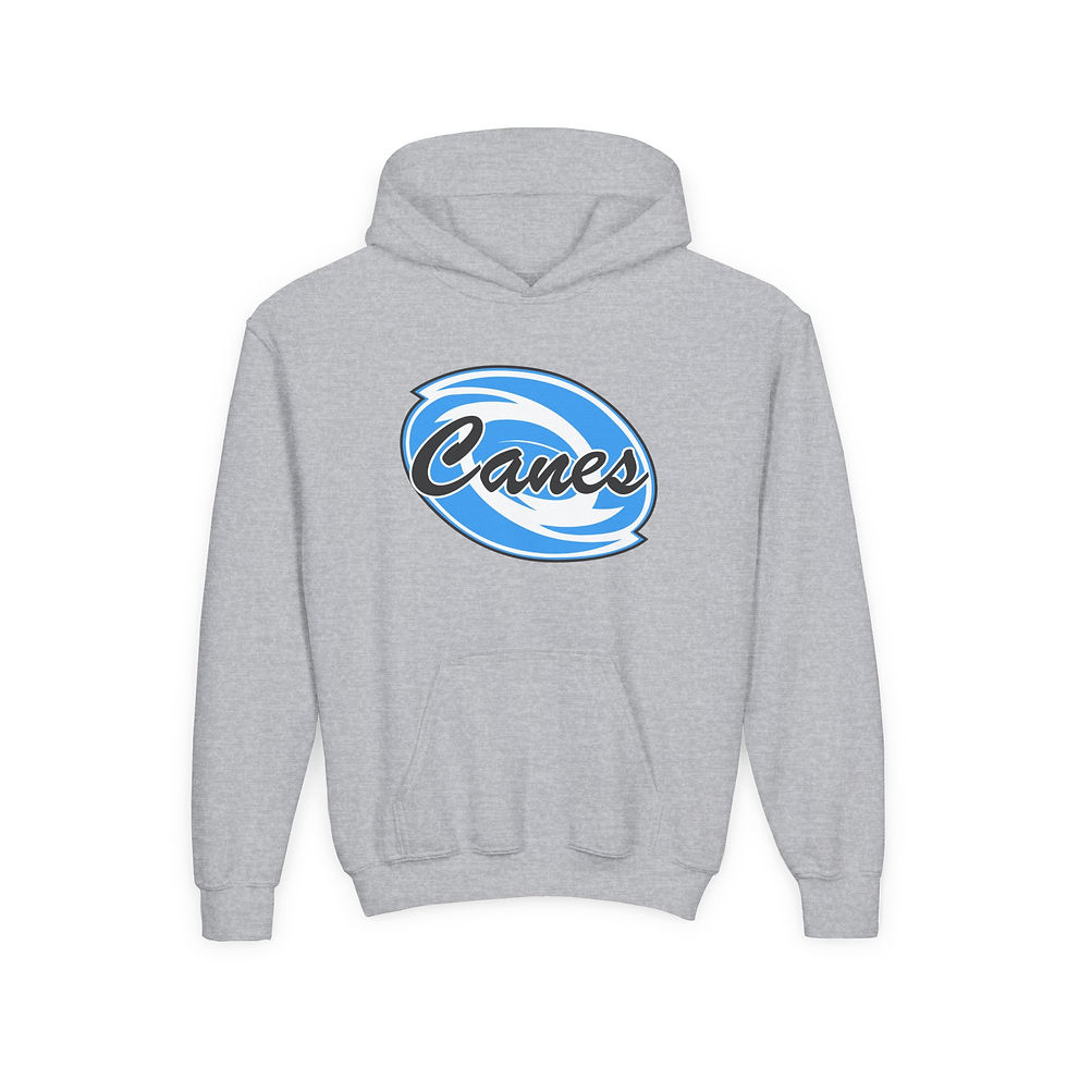 Thumbnail: YOUTH Here Comes the Storm Canes Hoodie