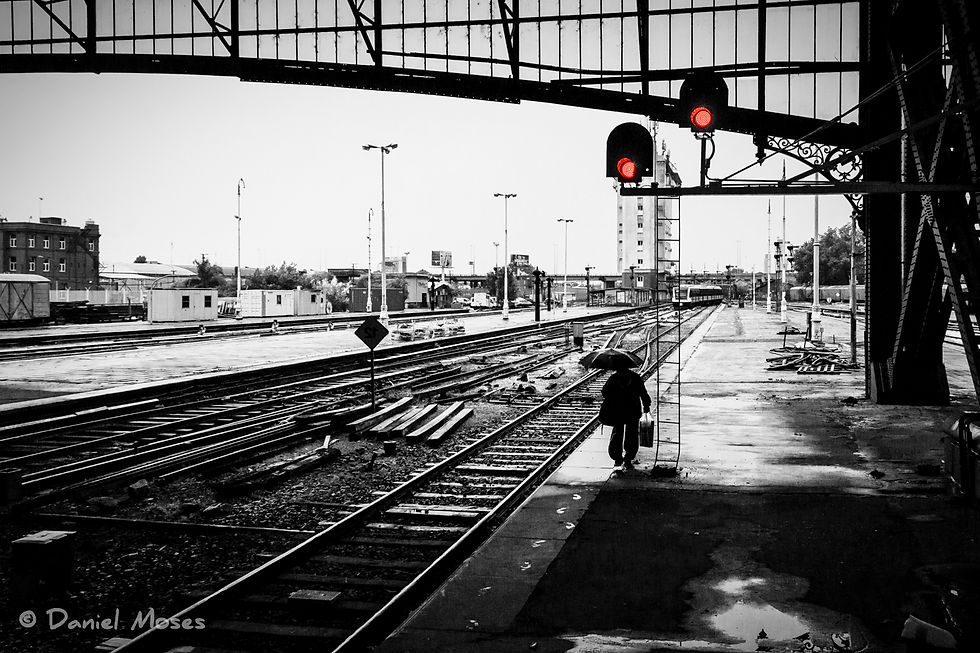 img-1519-Edit-Edit