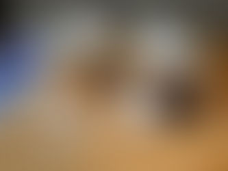 They Are Super Duper