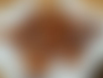 Different Pigs In Blankets