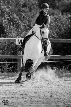 Horsewoman
