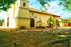 DSC08567-01
