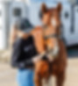 Girl and her horse with a trailer in the background, wearing Simply Equine merchandise.