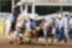 Founder, Pat Hooper, steer wrestling at a rodeo.