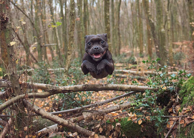 Lara Maskell Gallery - Jumping Shots